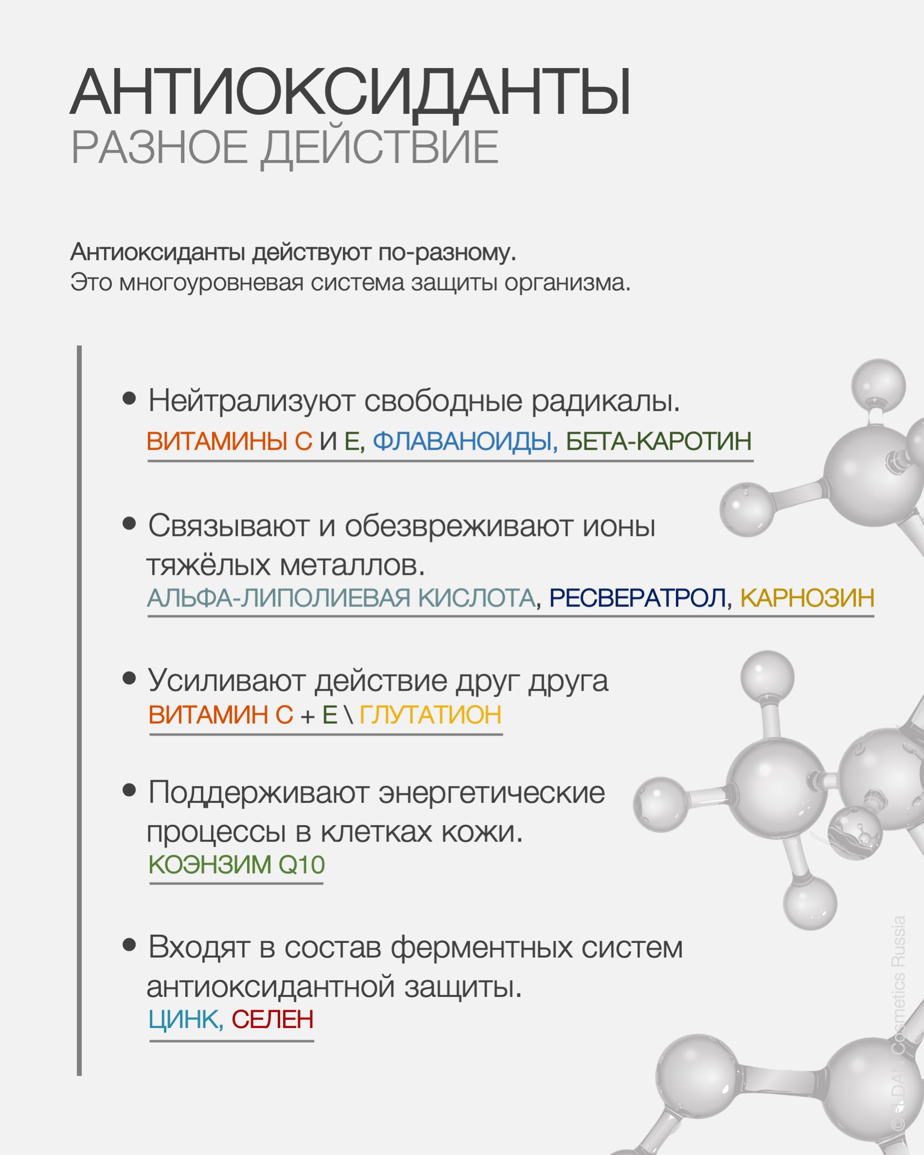 Пост различия антиоксидантов 4.jpg